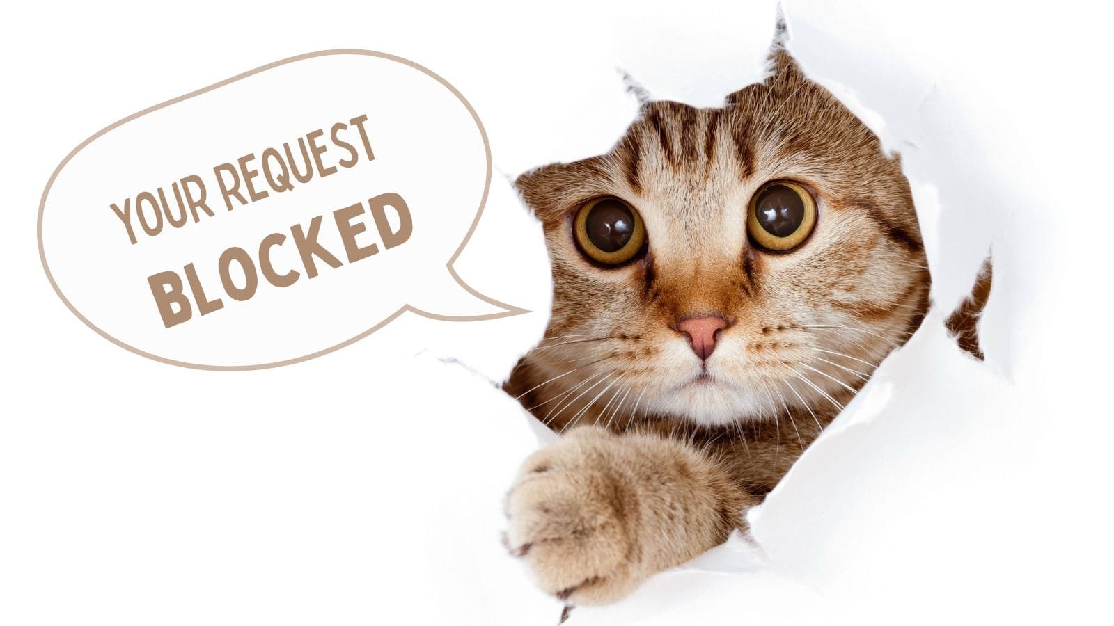 Your Request Blocked - Hotlink protection